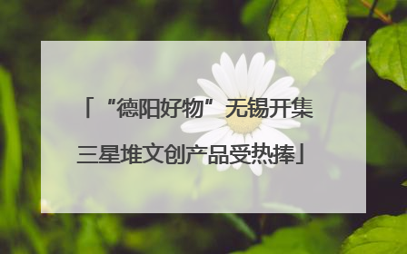 “德阳好物”无锡开集 三星堆文创产品受热捧