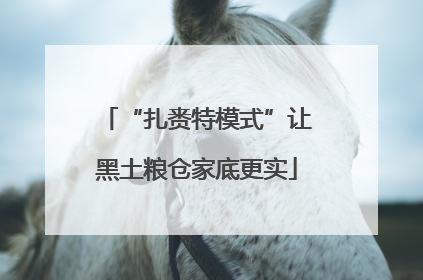 “扎赉特模式”让黑土粮仓家底更实