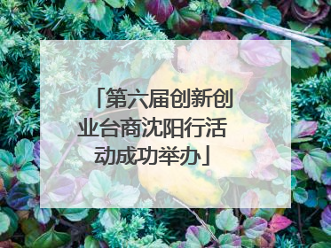 第六届创新创业台商沈阳行活动成功举办