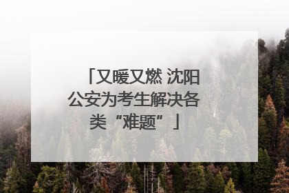 又暖又燃 沈阳公安为考生解决各类“难题”