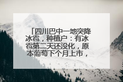 四川巴中一地突降冰雹,种植户:有冰雹第二天还没化,原本葡萄下个月上市,现在全被打落