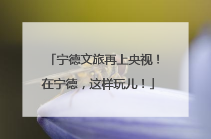 宁德文旅再上央视！在宁德，这样玩儿！
