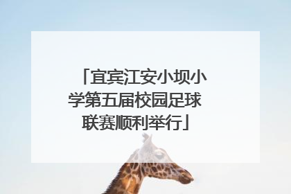 宜宾江安小坝小学第五届校园足球联赛顺利举行