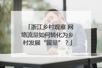 浙江乡村观察 网络流量如何转化为乡村发展“留量”？