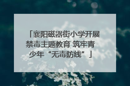襄阳磁器街小学开展禁毒主题教育 筑牢青少年“无毒防线”