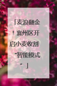 麦浪翻金！襄州区开启小麦收割“智能模式”