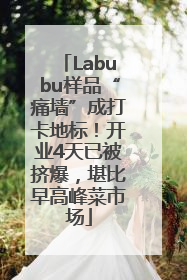 Labubu样品“痛墙”成打卡地标！开业4天已被挤爆，堪比早高峰菜市场
